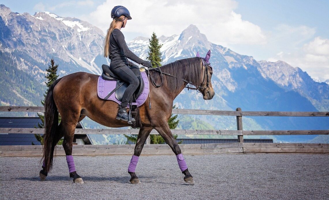 Why Do Horses Let Humans Ride Them? - UPDATED - WpePro